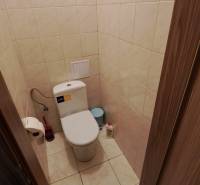 Bathroom commercial premises with tiles, toilet, and accessories.