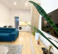 Interior photograph of a 2-room apartment with wood-patterned flooring, a blue sofa, and plants.