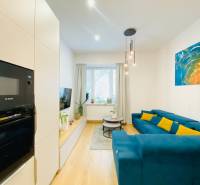 Living room with a blue sofa, colorful painting, and wooden decor flooring in a two-room apartment.