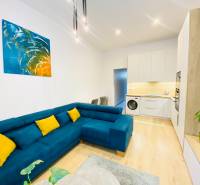 Living room of a two-room apartment with a blue sofa and a floor with a wood decor.