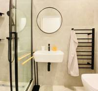 Bathroom in a 2-room apartment with a shower, mirror, and towel rack.