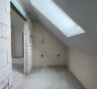 Attic room in a family house, with a skylight and unfinished walls.