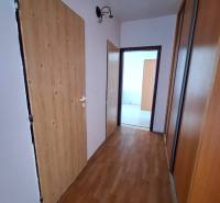 A hallway with built-in wardrobes and a floor with a wooden decor in a 3-room apartment.