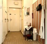 Entrance hallway in a 3-room apartment with a wall-mounted coat rack and a mirror.