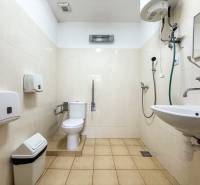Accessible toilet with shower and sink in the offices.