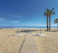 Sandy beach in Torrevieja with palm trees and an access pier to the Recreational Apartment.