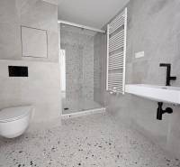 Bathroom with toilet, shower corner, and radiator in a studio apartment.