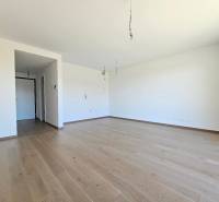 A spacious room with a wooden decor floor in a studio apartment.
