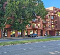 An apartment building on Košická Street in Bratislava-Ružinov covered by dense trees.