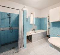 A bathroom in a family house with blue tiles, a shower, and a bathtub.