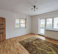 A room in a family house with a wooden decor floor, a carpet, and a large window.