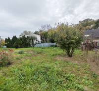 A family house in Sereď on Topoľová Street with blooming roses and trees in the garden.
