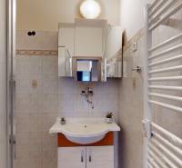 Bathroom in a 2-room apartment with a sink, mirror, and ladder radiator.