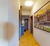 A hallway in a 2-room apartment with a wall featuring a painting and a floor with a wooden decor.
