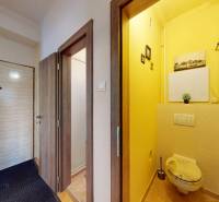 Entrance hallway and toilet in a 2-room apartment with a wood-patterned floor.