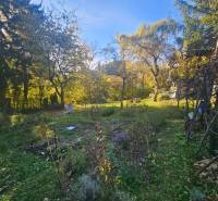 Garden with greenery and benches at the Cottage in Sady pod Dedovcom, Trenčianske Teplice.