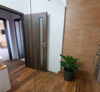 Interior with a shower, wooden decor flooring, and a plant in a 3-room apartment.