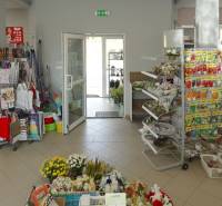 Interior of a flower and seed shop in a family house.