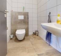 Bathroom with toilet and sink, floor with wood decor, commercial spaces.