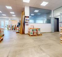 Tile and building materials store, wooden decor flooring, commercial premises.