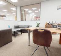 Office space with sofas, tables, and decorations, suitable commercial premises.
