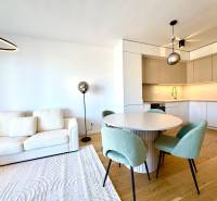 Bright living room with a kitchenette, wooden decor flooring, 2-room apartment.