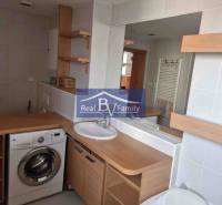 Bathroom in a 2-room apartment with a washing machine, sink, and bathtub, equipped with wooden decor.