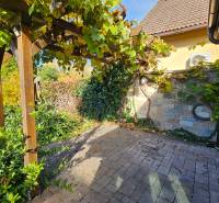 The terrace of a family house on Štúrová Street in Vráble with climbing plants and paving.