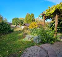 Garden at the family house on Štúrova Street in Vráble with plants and a gazebo.