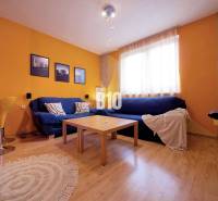 Living room in a 2-room apartment with an orange wall, blue sofa, and wooden decor flooring.