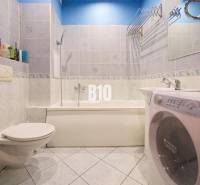 A bathroom in a 2-room apartment with a shower, sink, and washing machine.