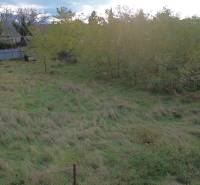 Greenery and trees in Gajary on plots suitable for living.