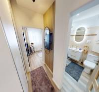 Hallway in a one-room apartment with a wooden decor floor, bathroom, and work nook.