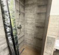 A shower corner with a forest motif in a studio apartment with a wooden decor floor.