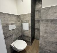 A bathroom in a studio apartment with a wooden decor floor and gray tiled walls.
