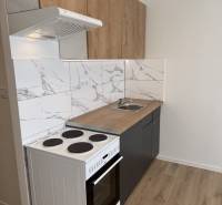 A kitchenette in a studio apartment with an electric stove and a floor with a wooden decor.