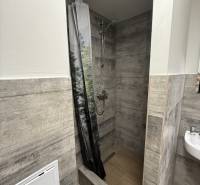 Shower corner with tiles and a curtain in a studio apartment. Floor with a wooden decor.