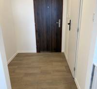 Studio apartment interior with entrance door and wood-patterned flooring.