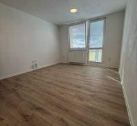 A room with a wooden floor decor, large window and radiator, studio apartment.