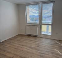 A studio apartment with a wood-patterned floor and a large window offering a view of the surroundings.