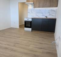 Studio apartment with a kitchenette, stove, and wood-patterned flooring.