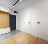 Entrance hall of a two-room apartment with a wooden decor floor and storage space.