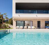 Villa in Bali with a pool, palm trees, terrace, and sunbeds in the background.