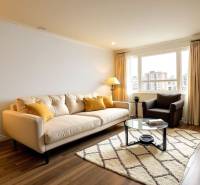 Bright living room with a sofa in a three-room apartment, wooden decor flooring, large window.