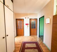 A hallway with closets, light walls, a floor with wood decor, a 3-room apartment.
