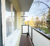 A balcony with a view of greenery and parked cars from a 3-room apartment on Pittsburgská Street in Žilina.