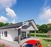 Modern family house with garage, garden, and terrace near Čeľadice, Residential land.