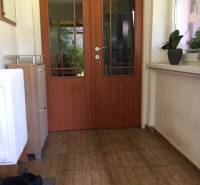 In a family house: a hallway with doors, a floor with wooden decor, plants on the windowsill.