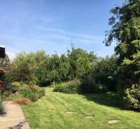 The garden at the family house in Čierna Voda with rich planting and well-maintained lawn.