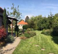 A garden at a family house in Čierna Voda with a lawn and greenery.